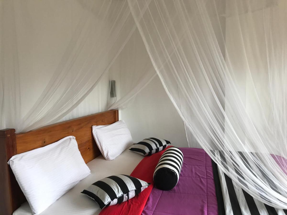 Ridge View Guest House -אלה מראה חיצוני תמונה