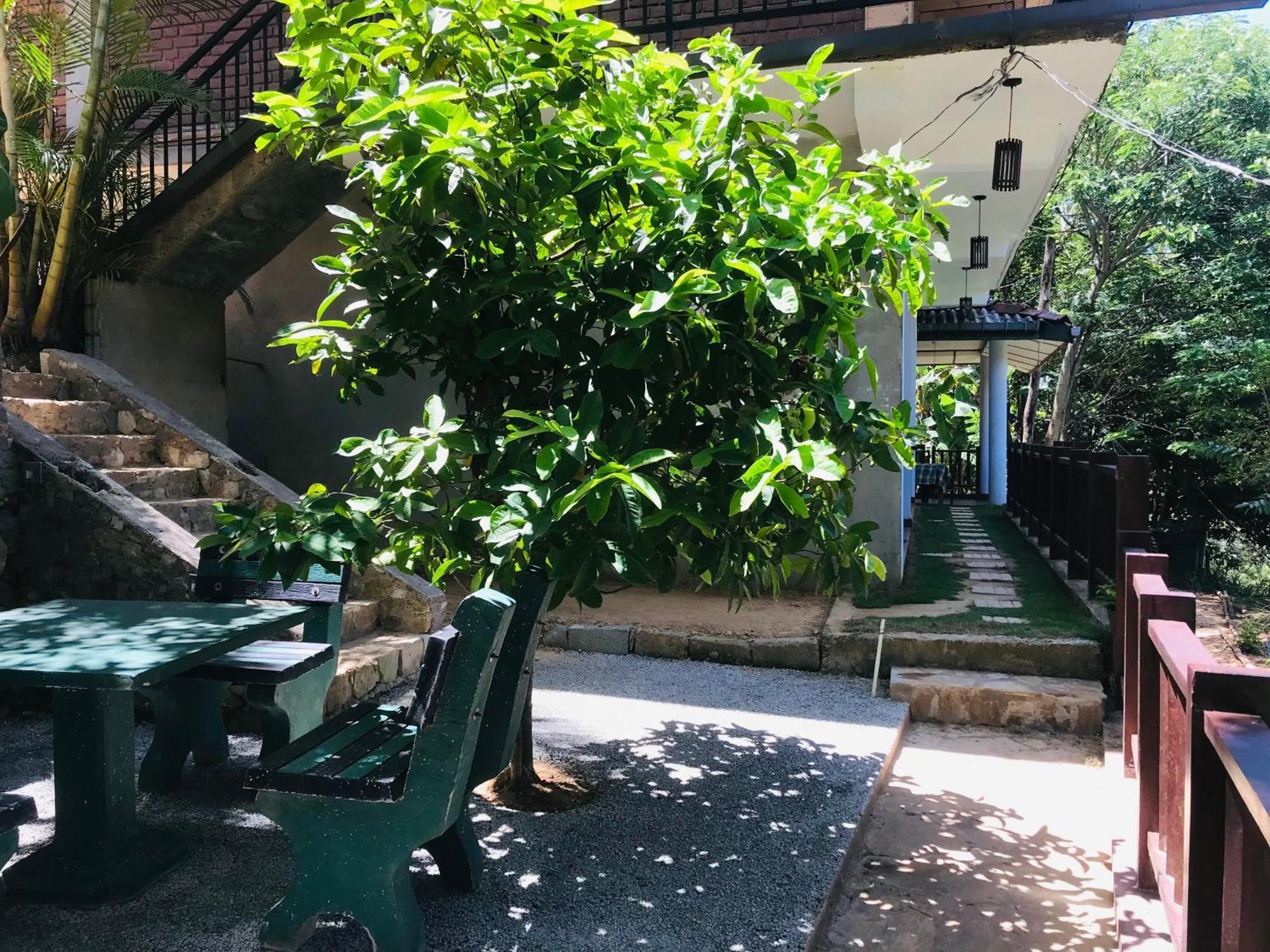 Ridge View Guest House -אלה מראה חיצוני תמונה